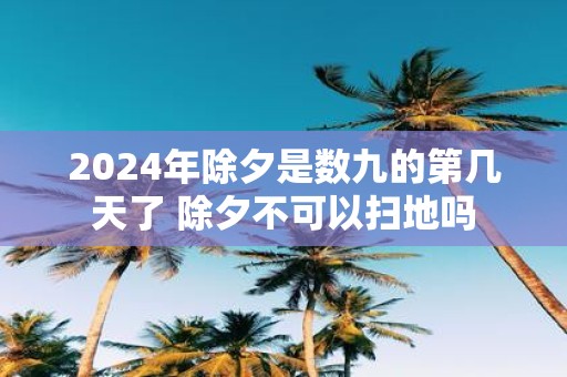 2025年除夕是数九的第几天了 除夕不可以扫地吗