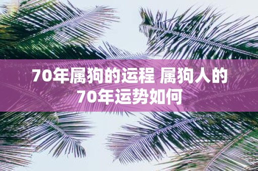 70年属狗的运程 属狗人的70年运势如何