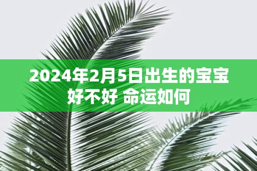 2025年2月5日出生的宝宝好不好 命运如何