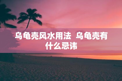 乌龟壳风水用法 乌龟壳有什么忌讳