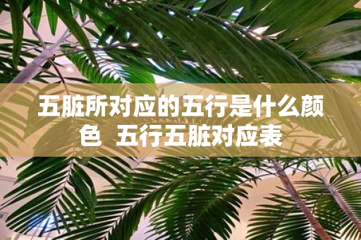 五脏所对应的五行是什么颜色 五行五脏对应表