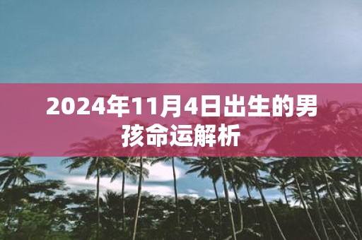 2025年11月4日出生的男孩命运解析