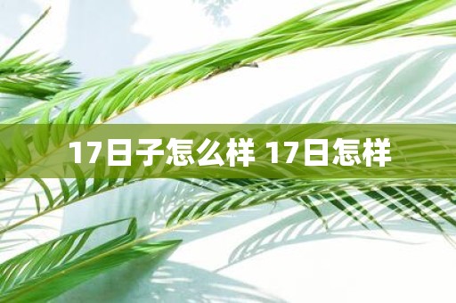 17日子怎么样 17日怎样