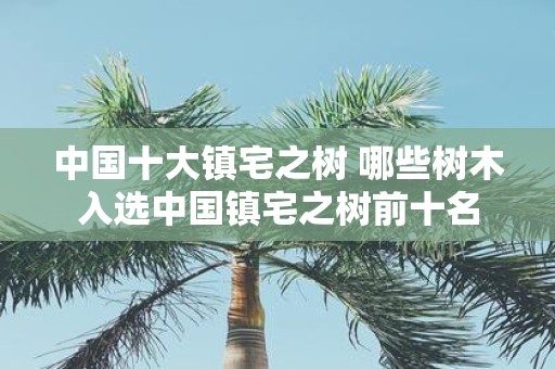 中国十大镇宅之树 哪些树木入选中国镇宅之树前十名