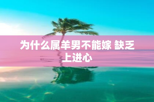为什么属羊男不能嫁 缺乏上进心