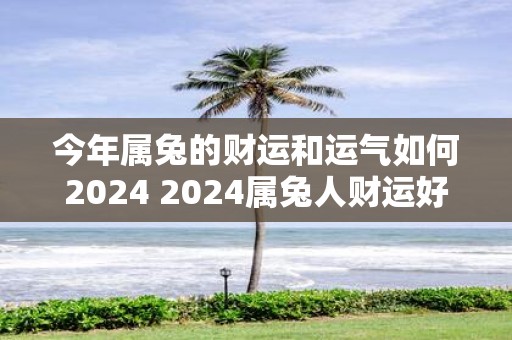 今年属兔的财运和运气如何2025 2025属兔人财运好吗 今年属兔的财运和运气如何2025 2025属兔人财运好吗