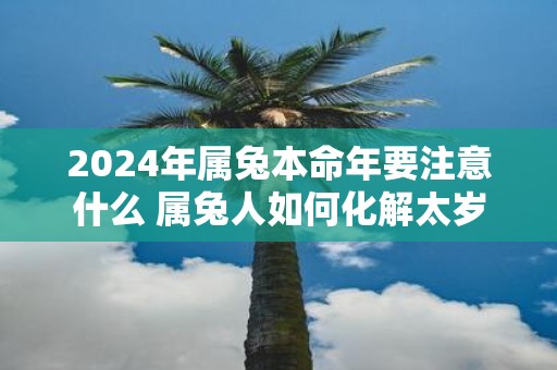 2025年属兔本命年要注意什么 属兔人如何化解太岁