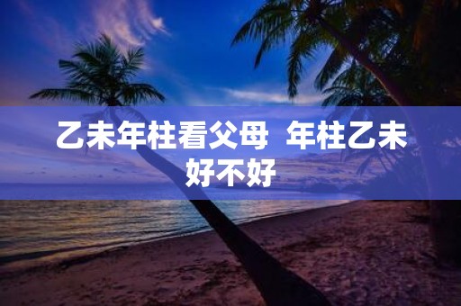 乙未年柱看父母 年柱乙未好不好