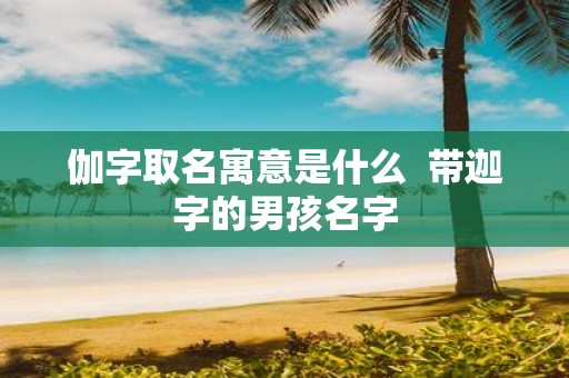 伽字取名寓意是什么 带迦字的男孩名字