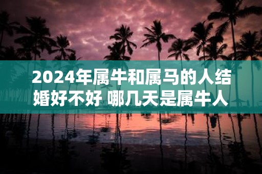 2025年属牛和属马的人结婚好不好 哪几天是属牛人的结婚吉日