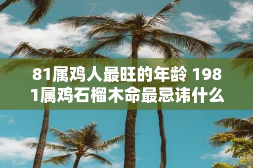 81属鸡人最旺的年龄 1981属鸡石榴木命最忌讳什么