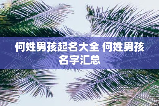 何姓男孩起名大全 何姓男孩名字汇总