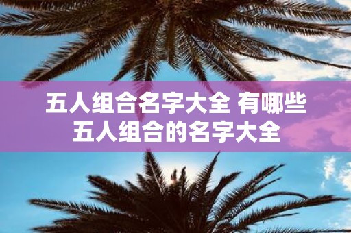 五人组合名字大全 有哪些五人组合的名字大全