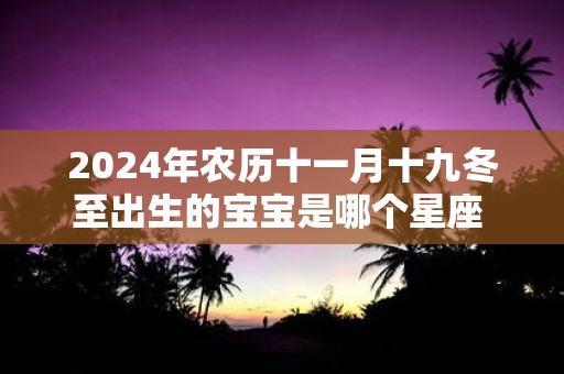 2025年农历十一月十九冬至出生的宝宝是哪个星座 是什么命