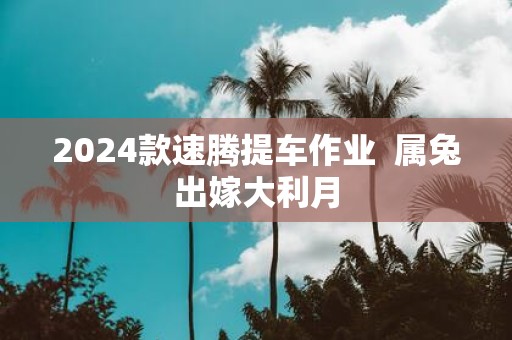 2025款速腾提车作业 属兔出嫁大利月