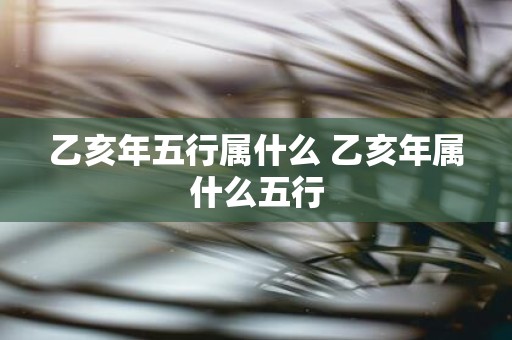 乙亥年五行属什么 乙亥年属什么五行