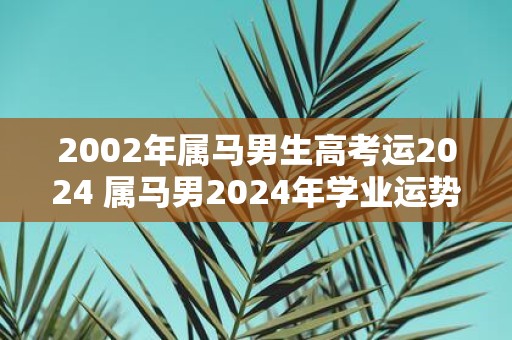 2002年属马男生高考运2025 属马男2025年学业运势如何