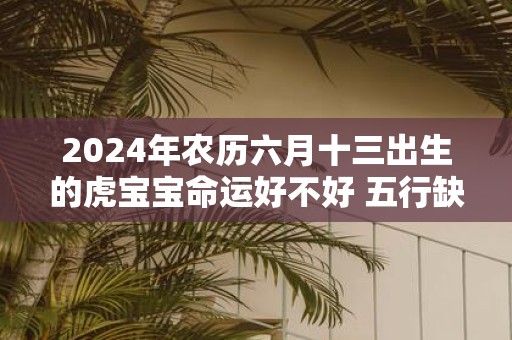 2025年农历六月十三出生的虎宝宝命运好不好 五行缺什么