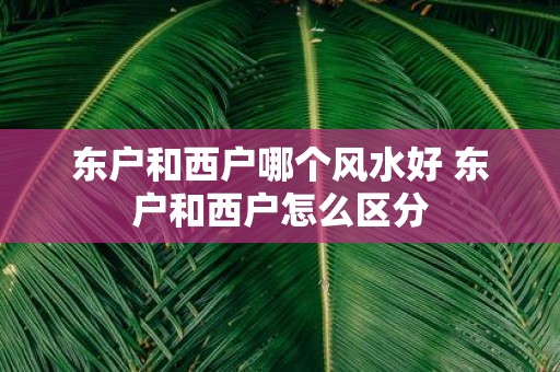 东户和西户哪个风水好 东户和西户怎么区分