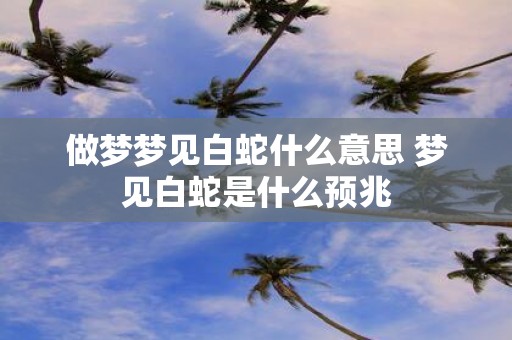 做梦梦见白蛇什么意思 梦见白蛇是什么预兆
