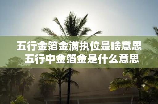 五行金箔金满执位是啥意思 五行中金箔金是什么意思
