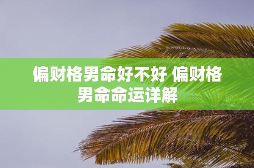 偏财格男命好不好 偏财格男命命运详解