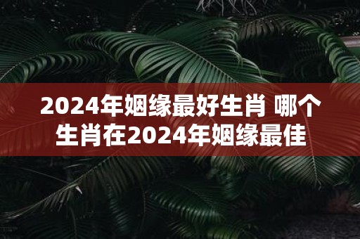 2025年姻缘最好生肖 哪个生肖在2025年姻缘最佳