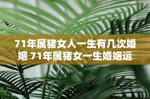 71年属猪女人一生有几次婚姻 71年属猪女一生婚姻运势