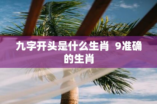 九字开头是什么生肖 9准确的生肖