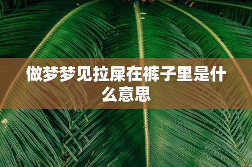 做梦梦见拉屎在裤子里是什么意思
