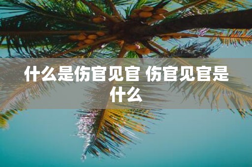 什么是伤官见官 伤官见官是什么