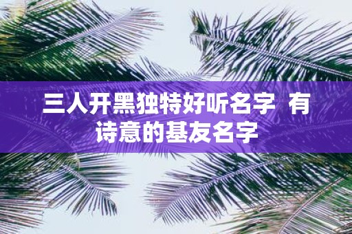 三人开黑独特好听名字 有诗意的基友名字