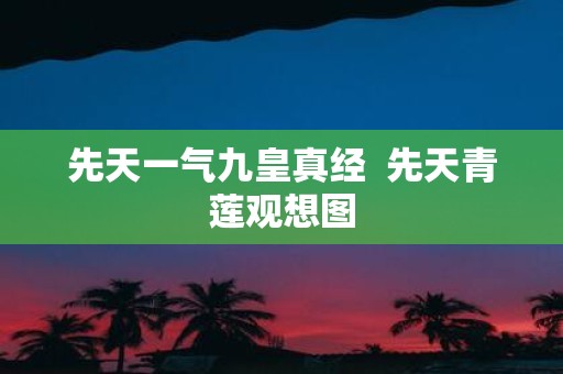 先天一气九皇真经 先天青莲观想图