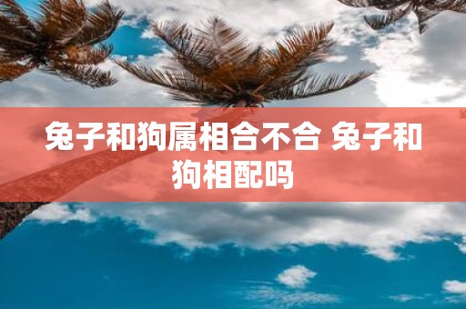 兔子和狗属相合不合 兔子和狗相配吗