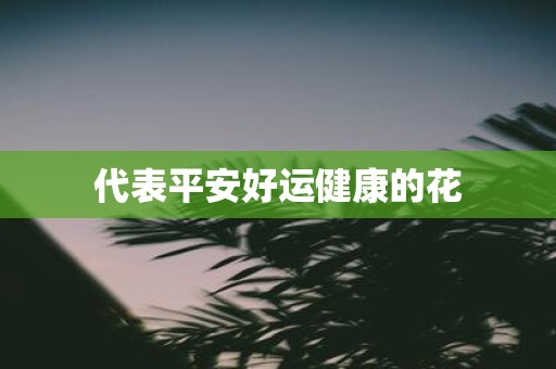 代表平安好运健康的花