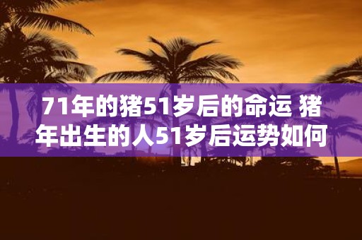 71年的猪51岁后的命运 猪年出生的人51岁后运势如何