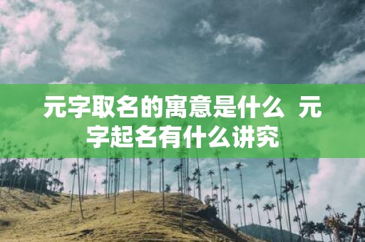 元字取名的寓意是什么 元字起名有什么讲究