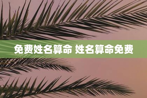 免费姓名算命 姓名算命免费