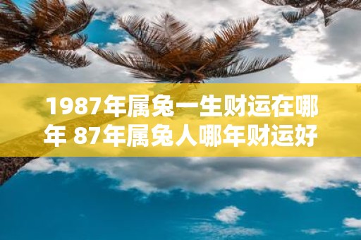 1987年属兔一生财运在哪年 87年属兔人哪年财运好