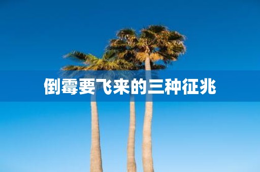 倒霉要飞来的三种征兆