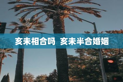 亥未相合吗 亥未半合婚姻