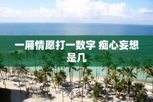 一厢情愿打一数字 痴心妄想是几