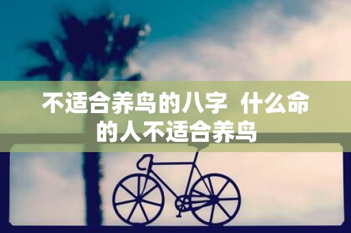 不适合养鸟的八字 什么命的人不适合养鸟