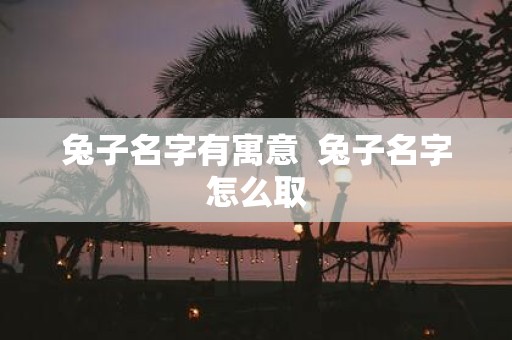 兔子名字有寓意 兔子名字怎么取