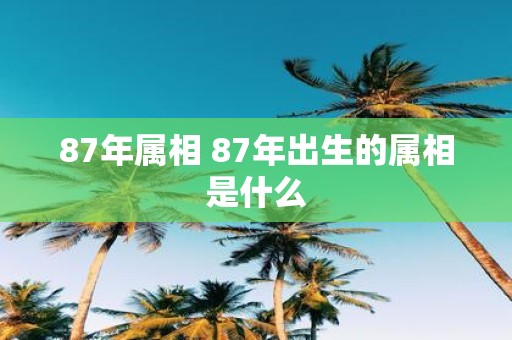87年属相 87年出生的属相是什么