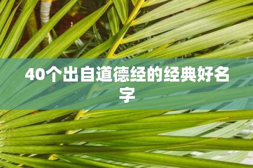 40个出自道德经的经典好名字