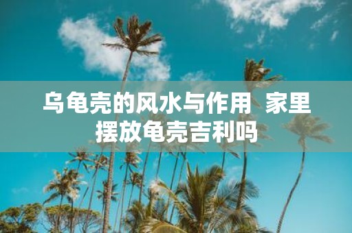 乌龟壳的风水与作用 家里摆放龟壳吉利吗