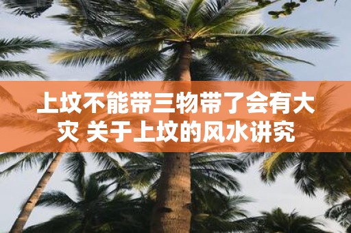 上坟不能带三物带了会有大灾 关于上坟的风水讲究