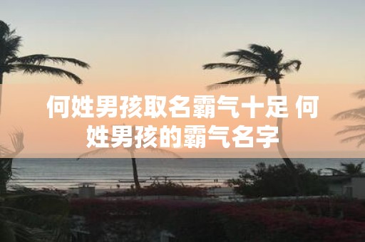 何姓男孩取名霸气十足 何姓男孩的霸气名字
