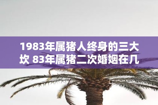 1983年属猪人终身的三大坎 83年属猪二次婚姻在几岁